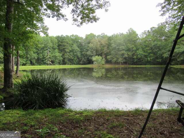191 Tumlin Creek Road Roopville, GA 30170 - Photo 42 of 49 a view of a lake view