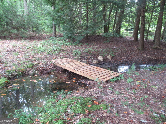 191 Tumlin Creek Road Roopville, GA 30170 - Photo 43 of 49 a view of a backyard with trees