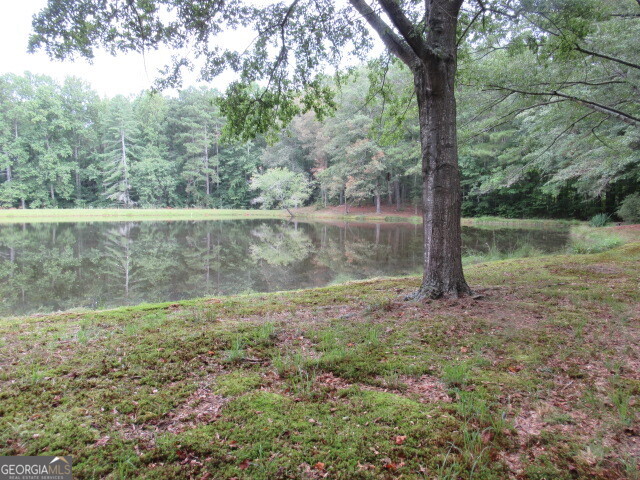 191 Tumlin Creek Road Roopville, GA 30170 - Photo 44 of 49 a view of a lake with a tree