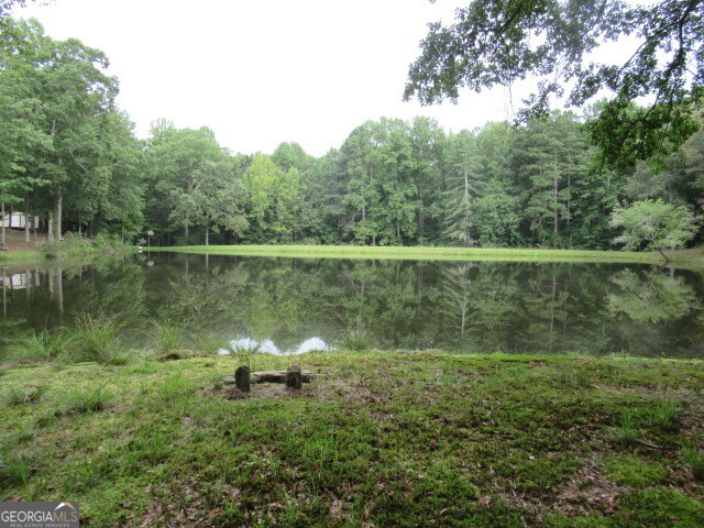 191 Tumlin Creek Road Roopville, GA 30170 - Photo 45 of 49 a view of a lake with a forest