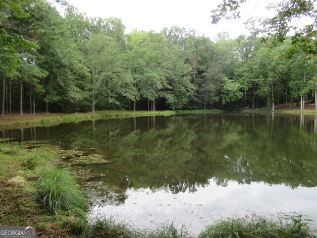 191 Tumlin Creek Road Roopville, GA 30170 - Photo 48 of 49 a view of a lake