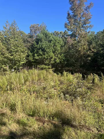 $25,000 | Lot 103 Oak Point Drive, Lexington, TN 38351
