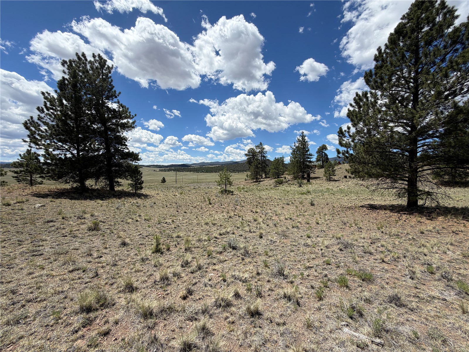 595 Bridle Path Hartsel, CO 80449 - Photo 14 of 23