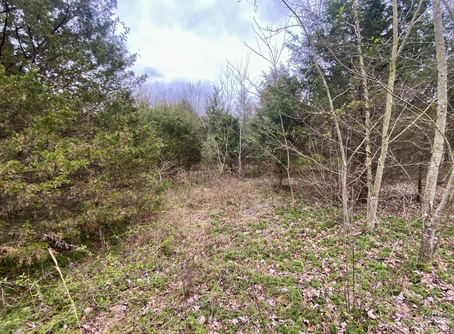 Ac Watson Road West Union, OH 45693 - Photo 6 of 18 Gallery Image 6