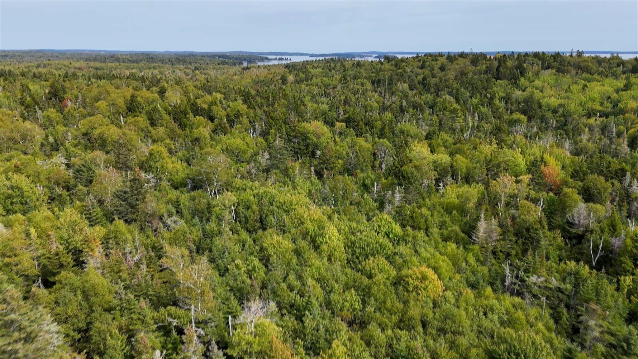 M20-l2 East Side Road Addison, ME 04606 - Photo 7 of 15