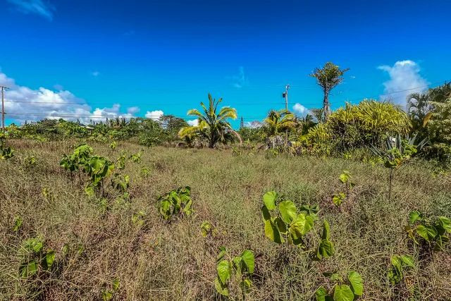 $62,500 | 12-173 Lot 5 Mapuana Avenue, Pahoa, HI 96778