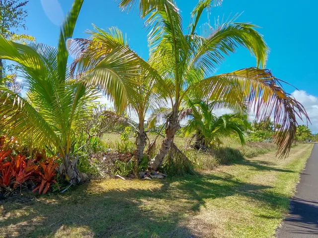 $62,500 | 12-173 Lot 5 Mapuana Avenue, Pahoa, HI 96778