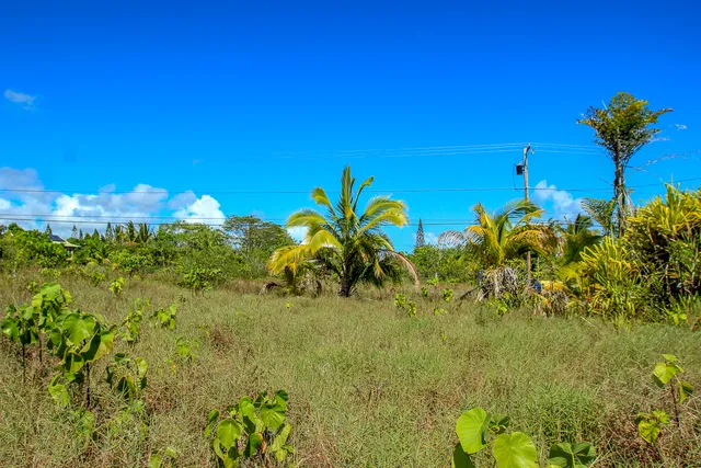 $62,500 | 12-173 Lot 5 Mapuana Avenue, Pahoa, HI 96778