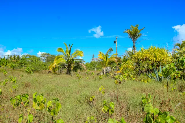 $62,500 | 12-173 Lot 5 Mapuana Avenue, Pahoa, HI 96778