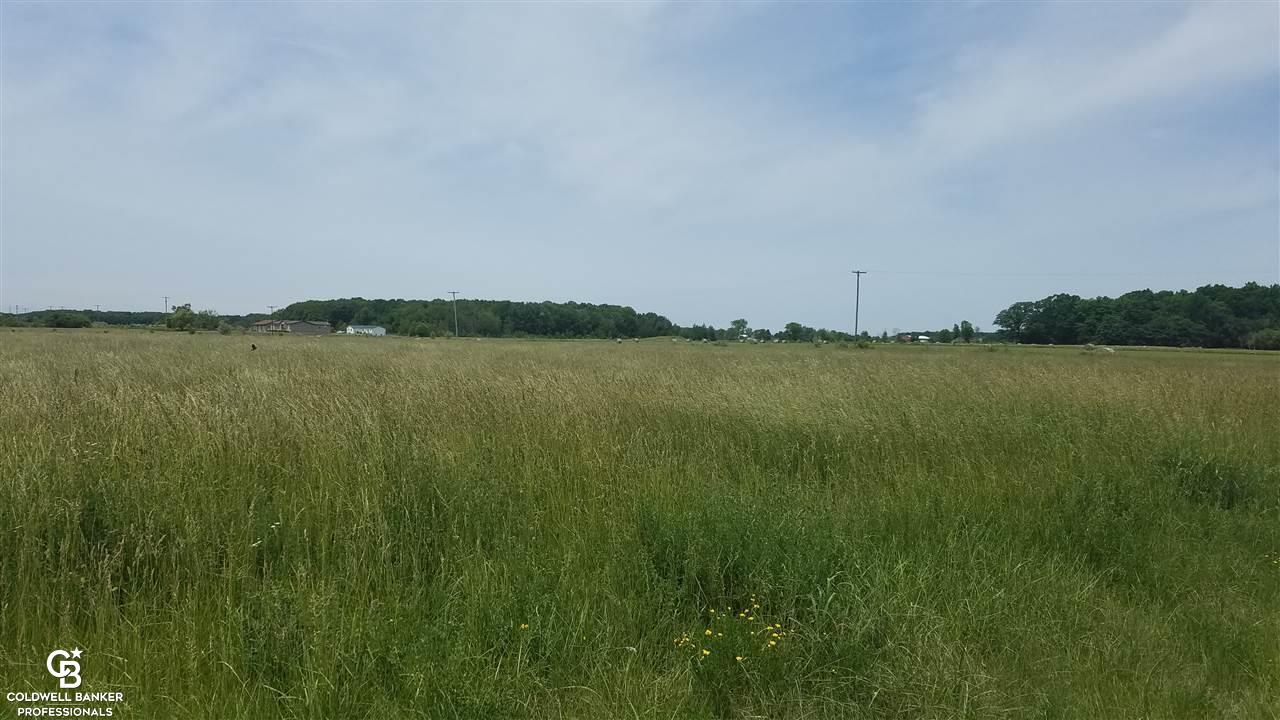 0 Duce Ville Avoca, MI 48006 - Photo 1 of 1