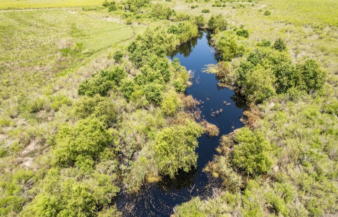 0 County Road 595 Angleton, TX 77515 - Photo 11 of 11 Gallery Image 11