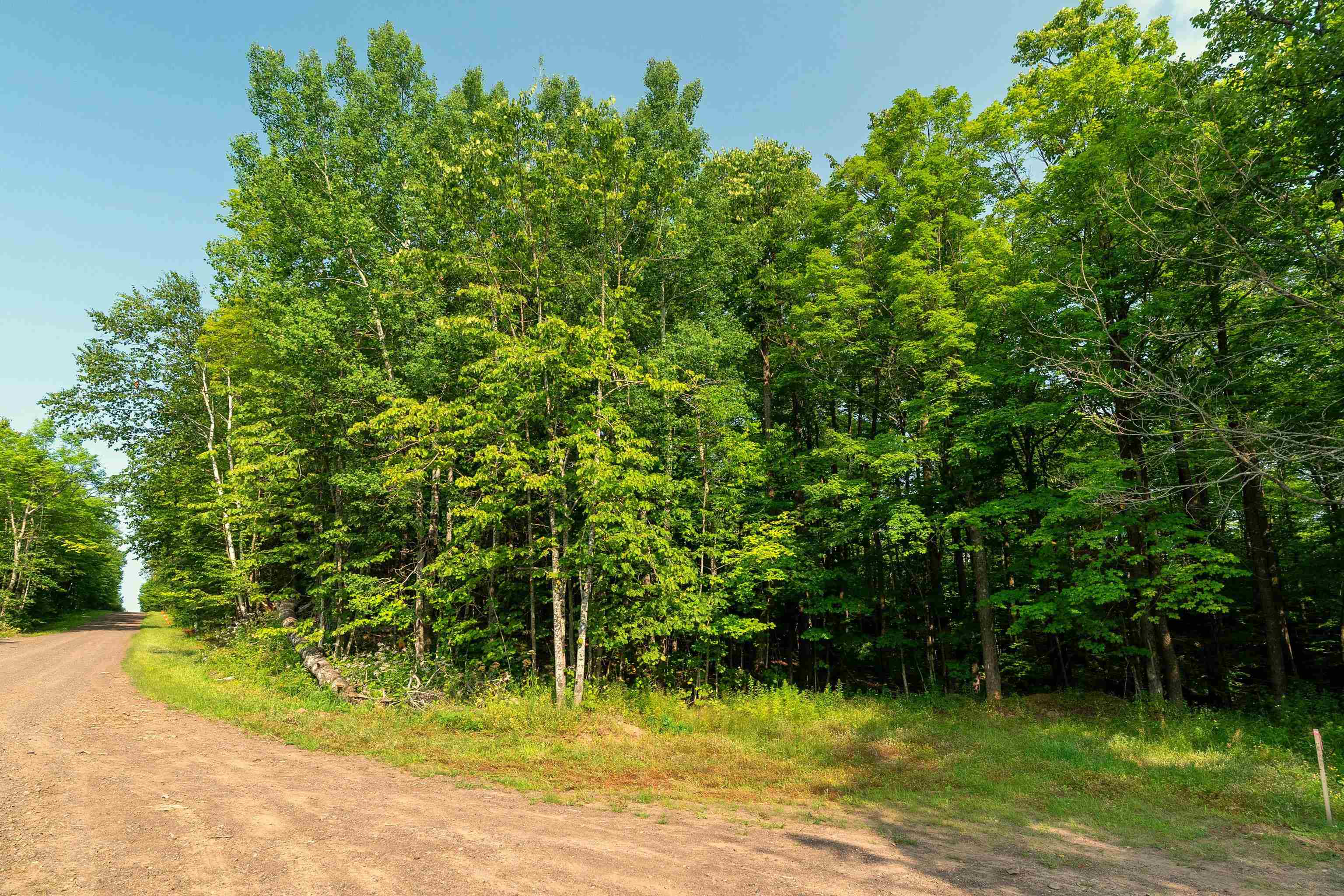 Xxxx West Lookout Road Duluth, MN 55804 - Photo 8 of 10