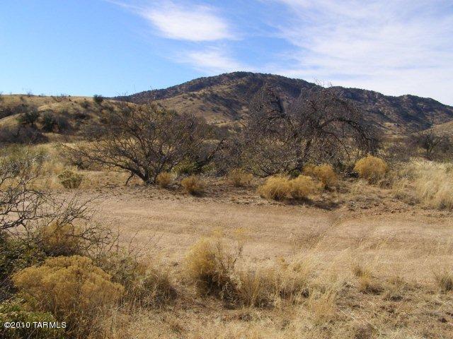 Hawkeye Road Elfrida, AZ 85610 - Photo 3 of 5