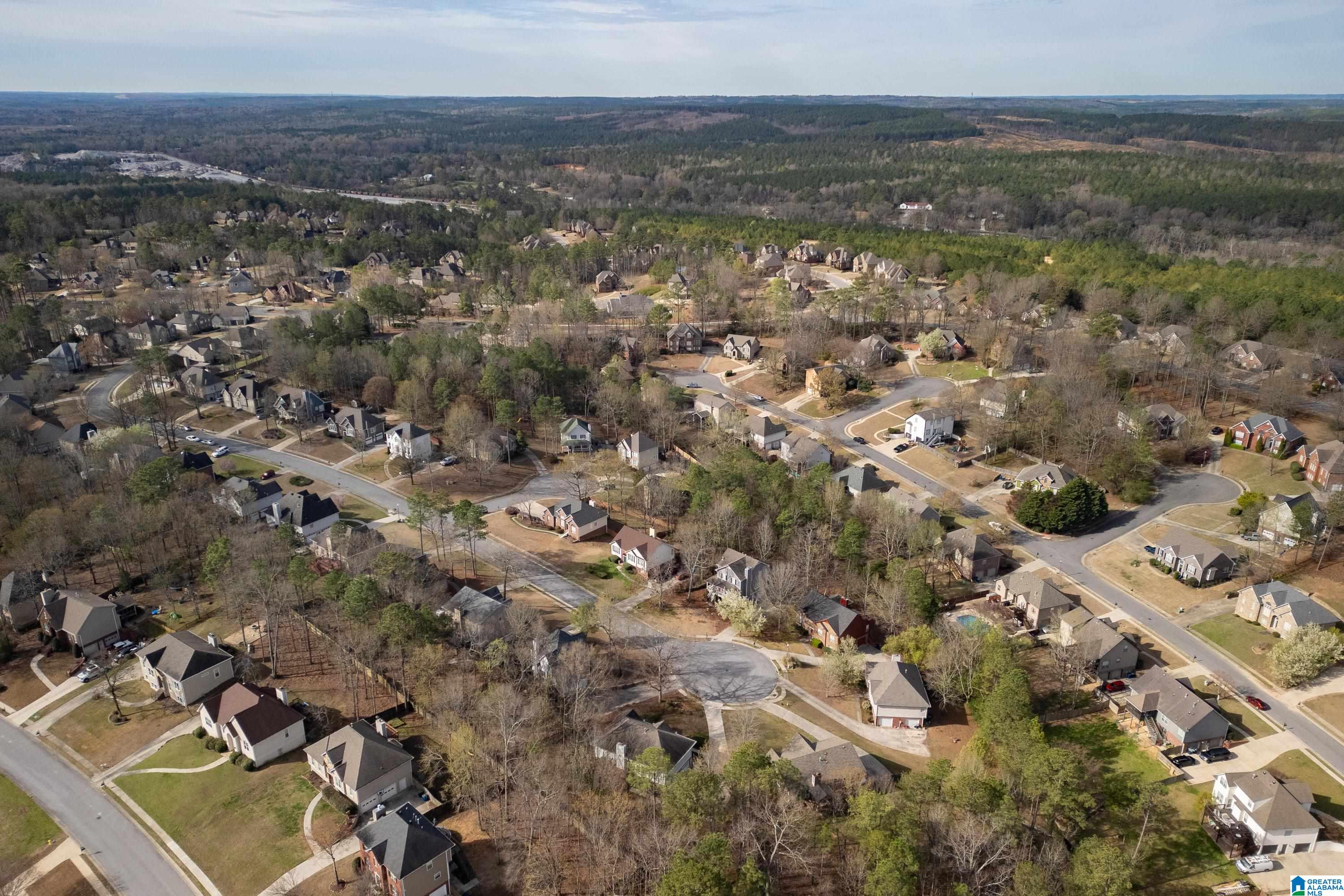 164 Grande Club Drive Alabaster, AL 35114 - Photo 35 of 41