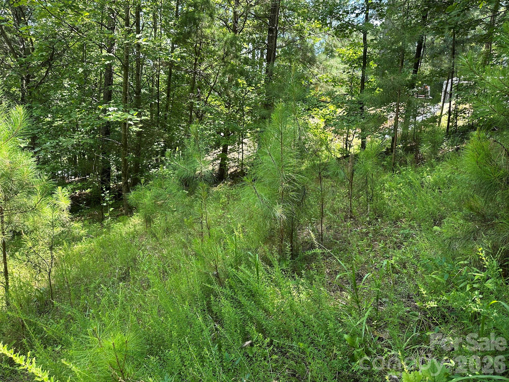 547 Stewart Rock Road Stony Point, NC 28678 - Photo 13 of 30 Gallery Image 13
