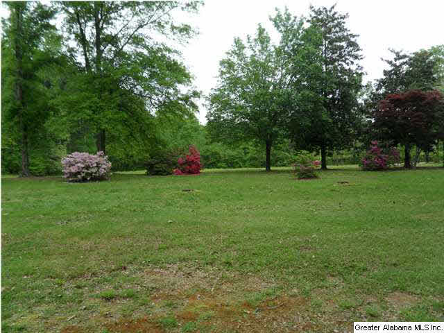 3057 Mayfield Road Warrior, AL 35180 - Photo 12 of 12