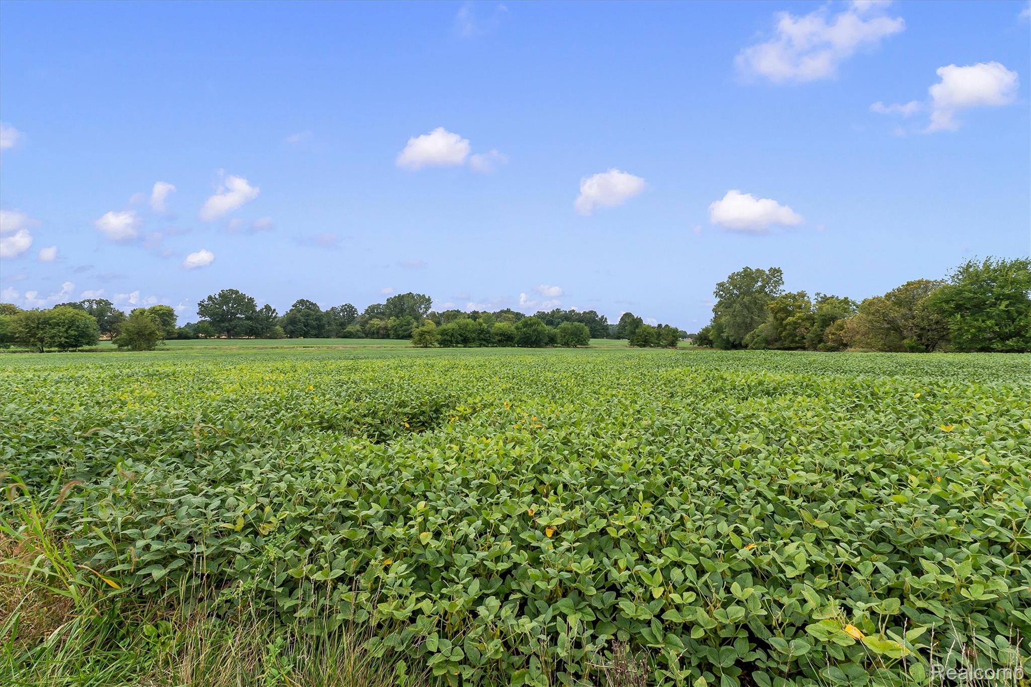 3553 North State Road Owosso, MI 48867 - Photo 40 of 45 Expansive agricultural field with verdant foliage, distant tree line, and clear sky with scattered clouds