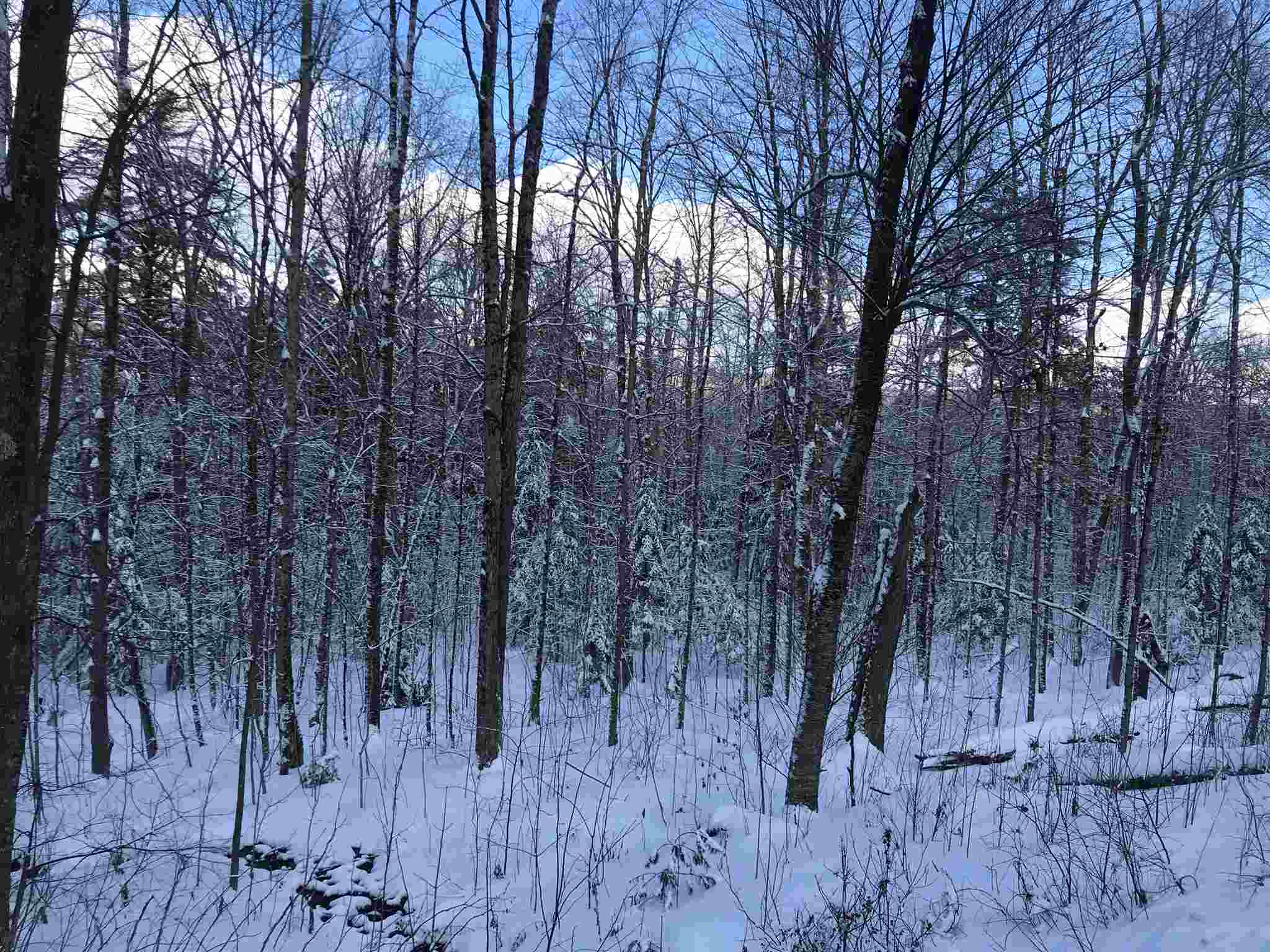 Lot 5 Monroe Road Littleton, NH 03561 - Photo 4 of 6
