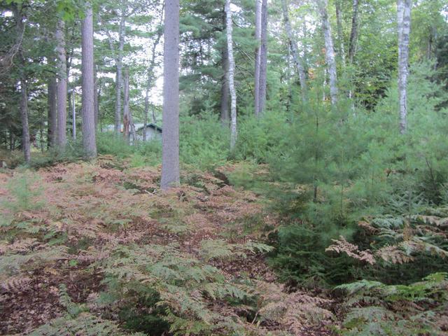 On On Eagles Ridge Eagle River, WI 54521 - Photo 11 of 12 Gallery Image 11