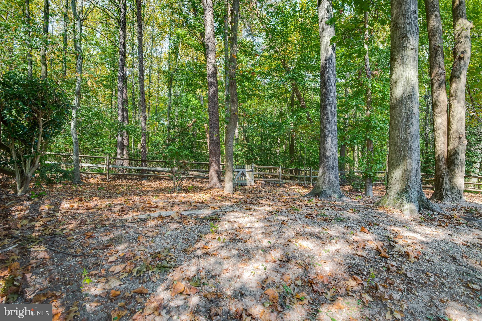 11614 Lighthouse Drive Laurel, MD 20708 - Photo 43 of 48 Gallery Image 43