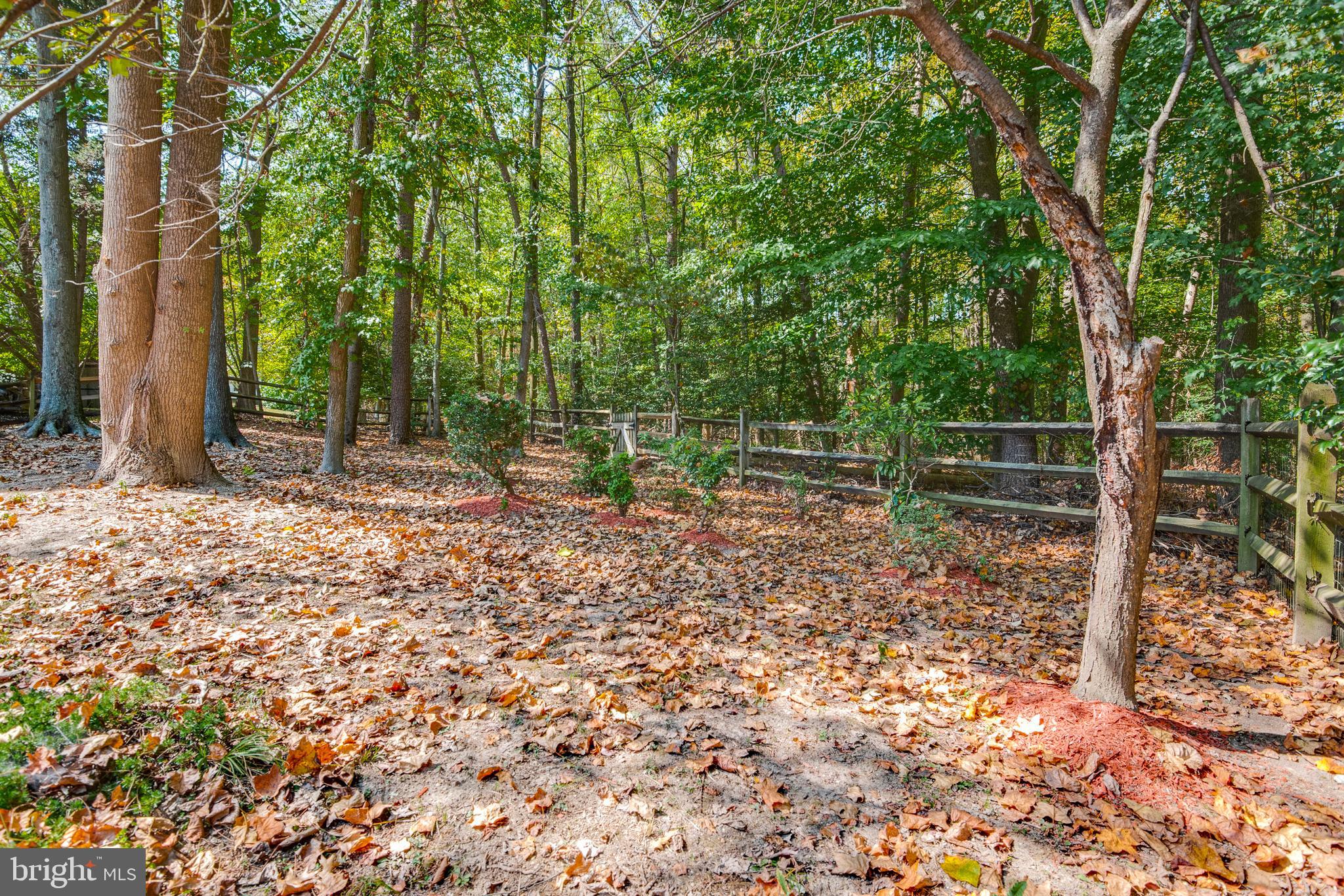 11614 Lighthouse Drive Laurel, MD 20708 - Photo 44 of 48 Gallery Image 44