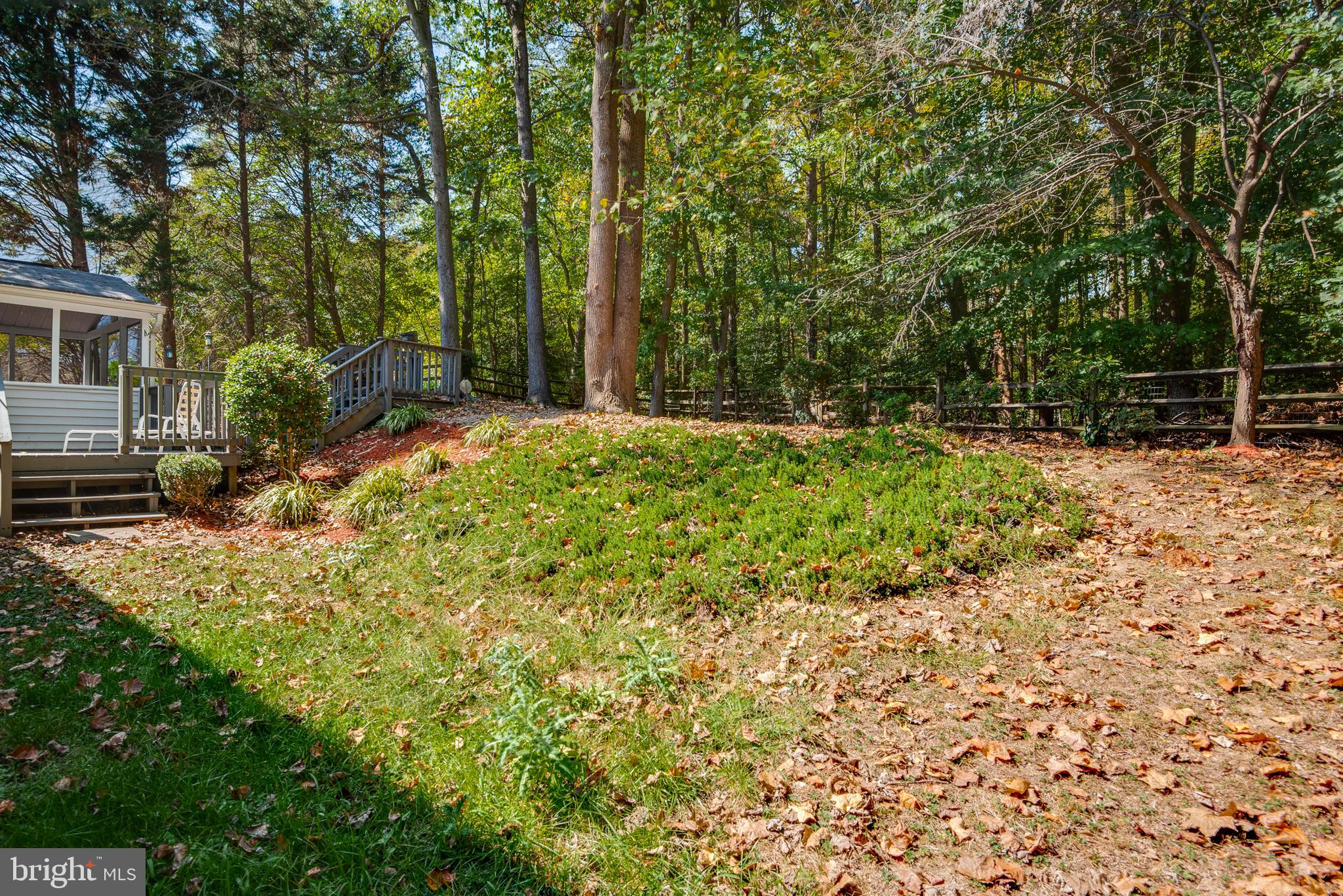 11614 Lighthouse Drive Laurel, MD 20708 - Photo 45 of 48 Gallery Image 45