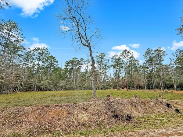 $39,995 | 252 Amblewood Drive, Brookeland, TX 75931