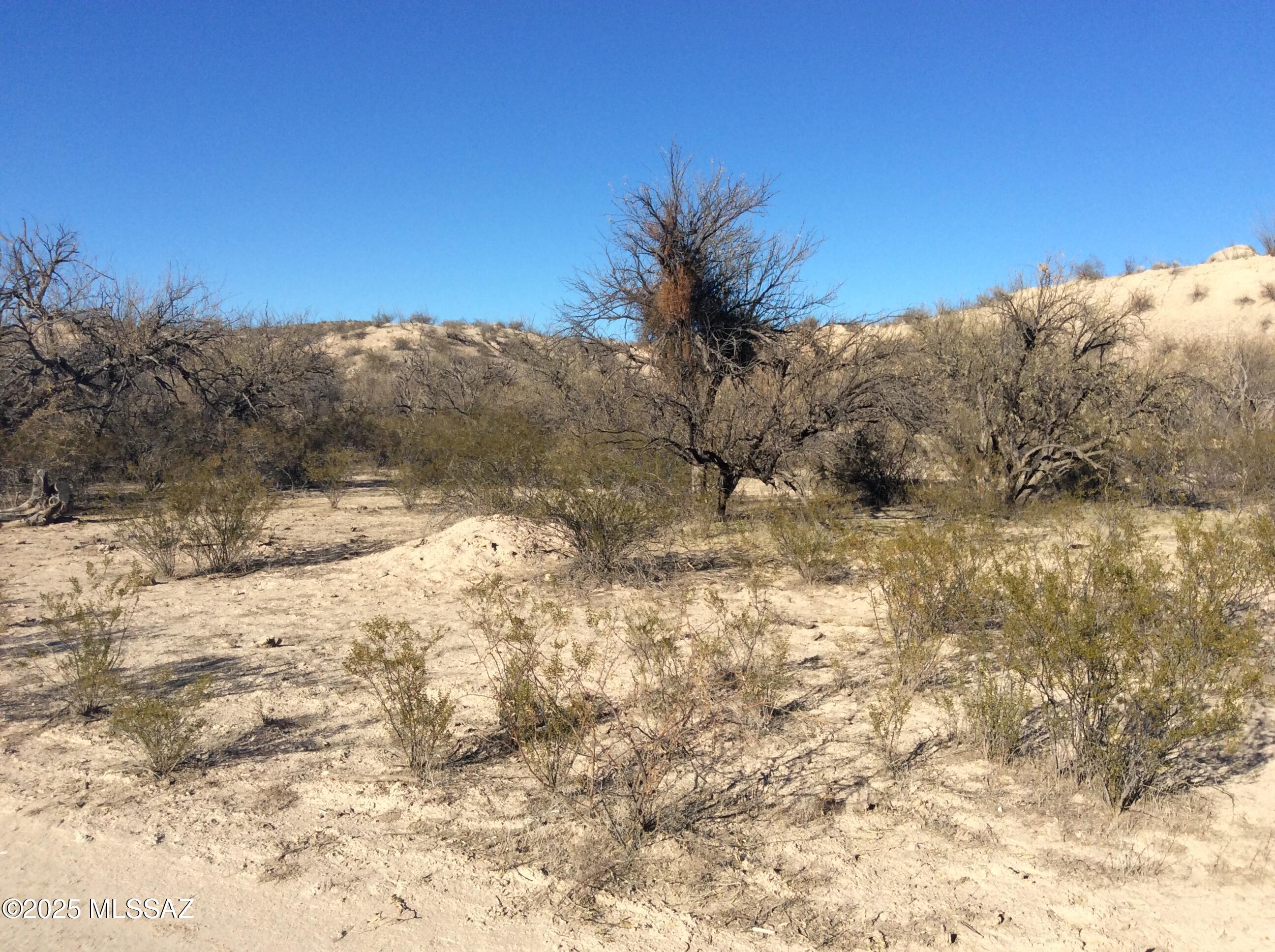 Tbd South River Road Mammoth, AZ 85618 - Photo 23 of 23