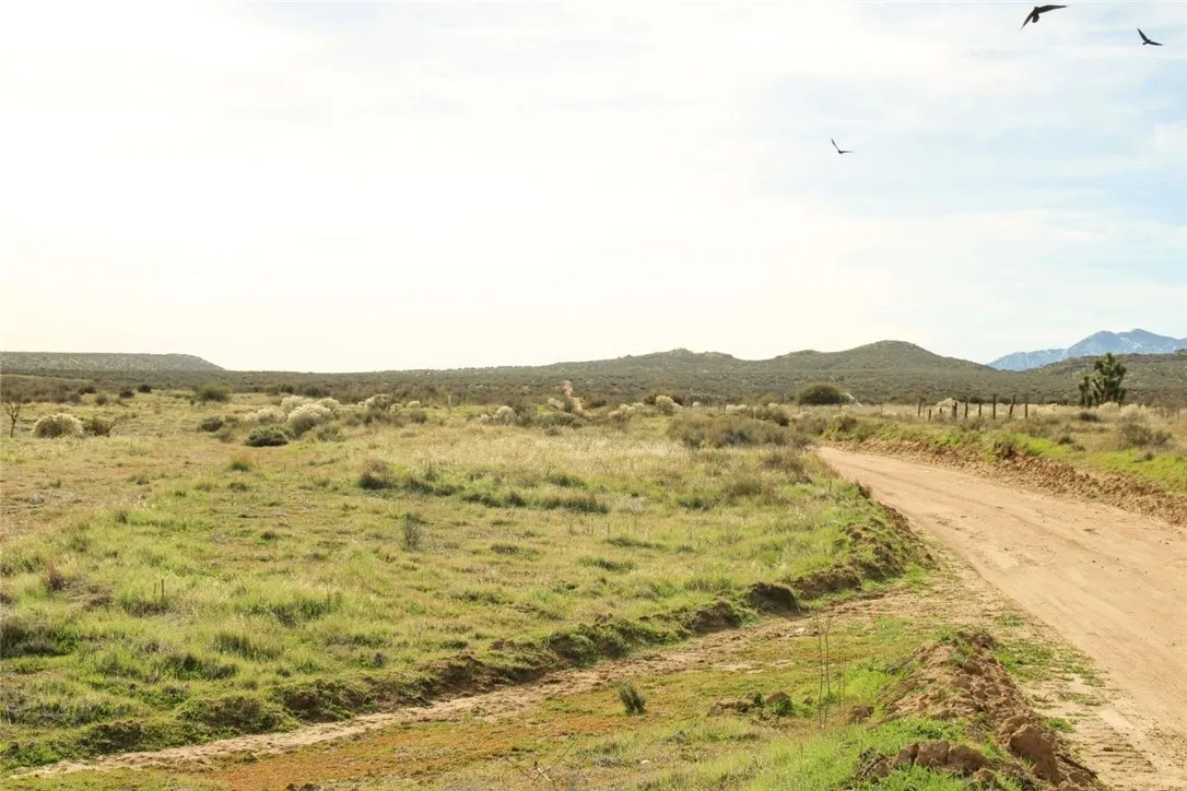 80999 Sonora Road Phelan, CA 92371 - Photo 17 of 18