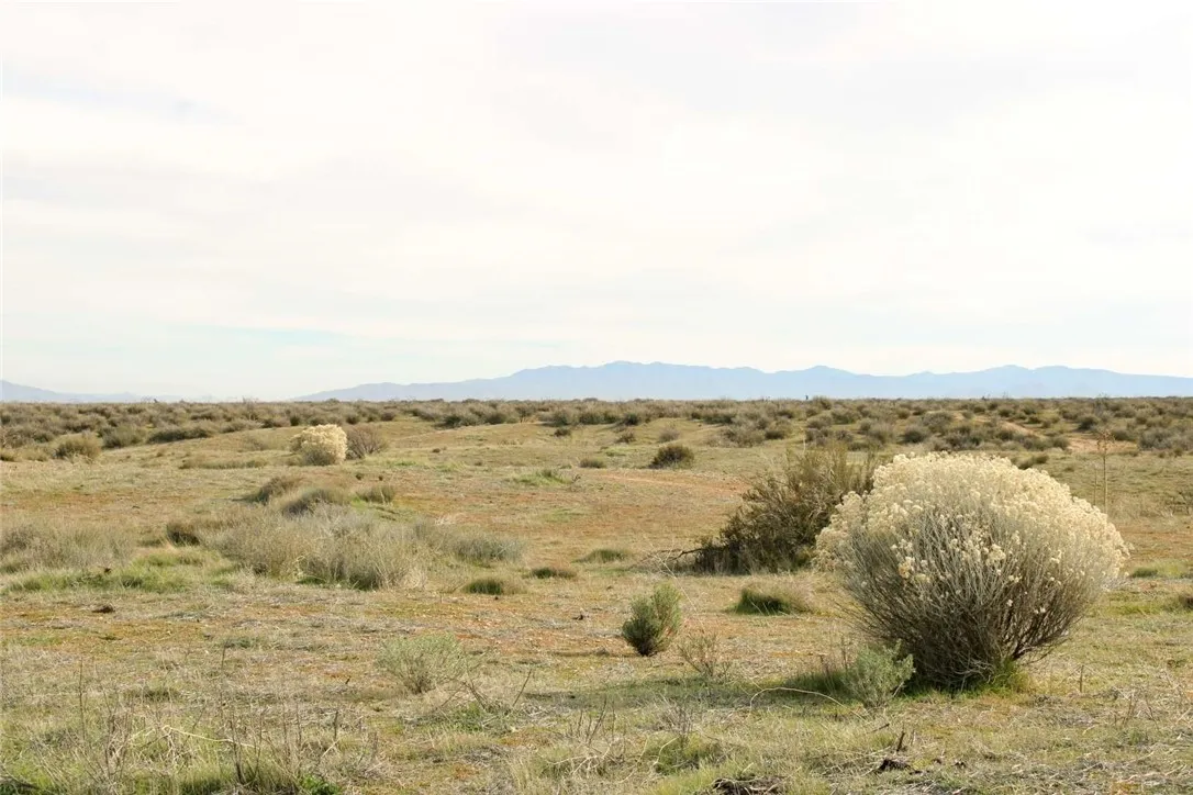 80999 Sonora Road Phelan, CA 92371 - Photo 10 of 18