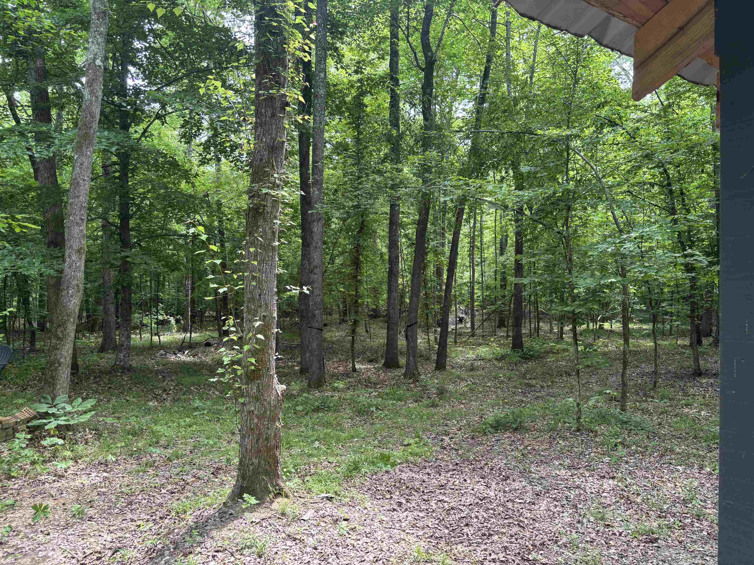 19.5-acres McMahan Road Middleton, TN 38052 - Photo 25 of 28
