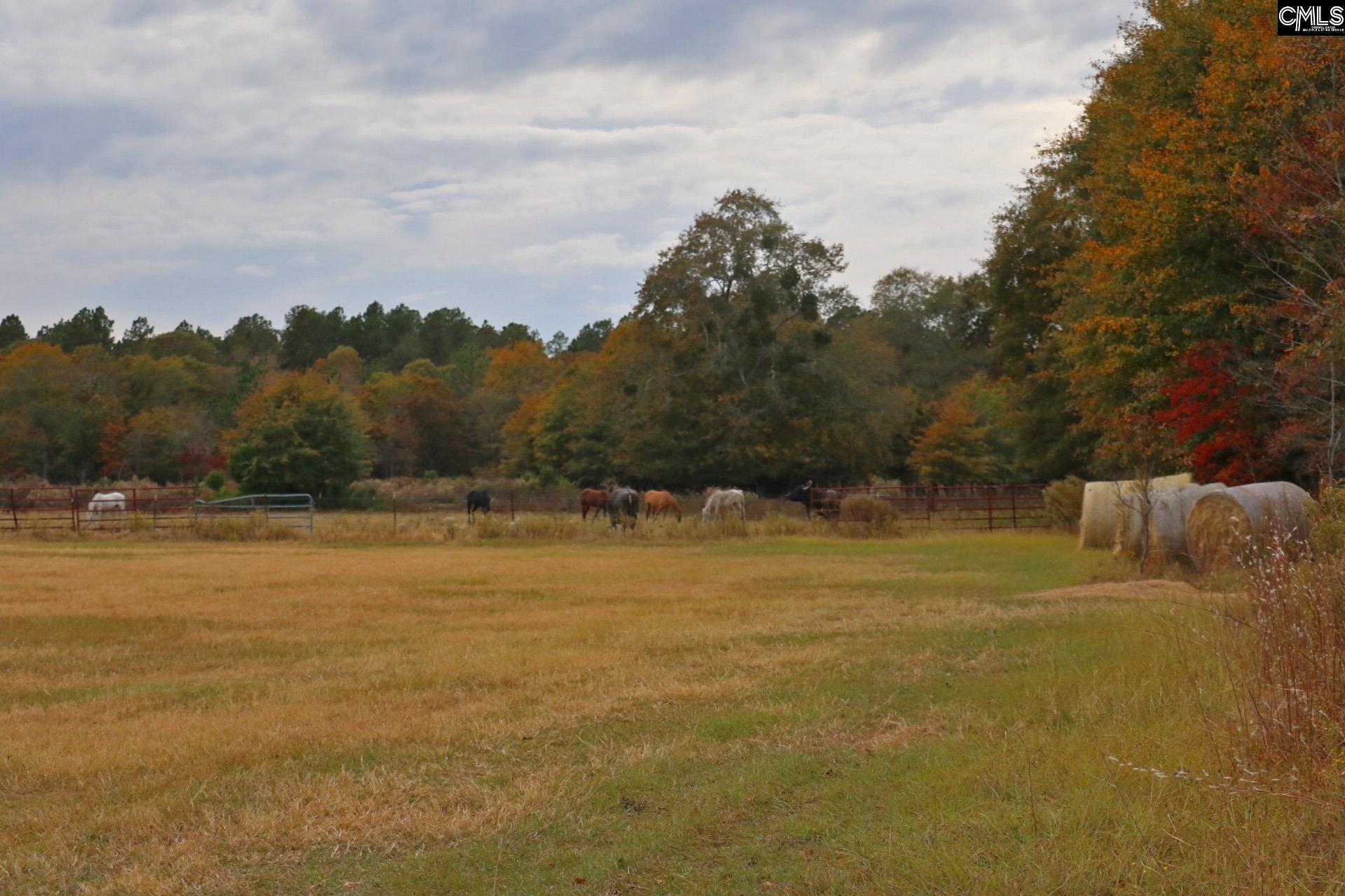 Tbd Browns Pond Road Wagener, SC 29164 - Photo 35 of 48