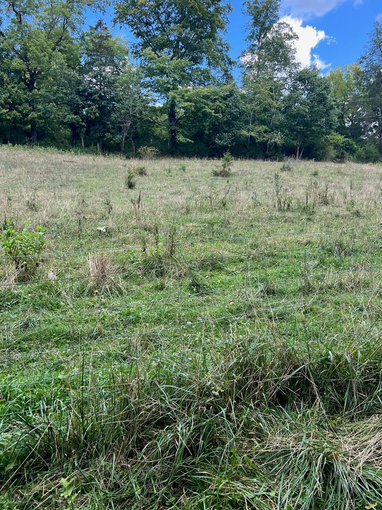 Tbd Romans Ridge Road Honaker, VA 24260 - Photo 36 of 51 Gallery Image 36