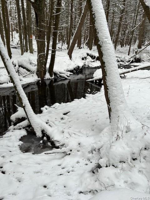 76 Parks Road Livingston Manor, NY 12758 - Photo 15 of 15