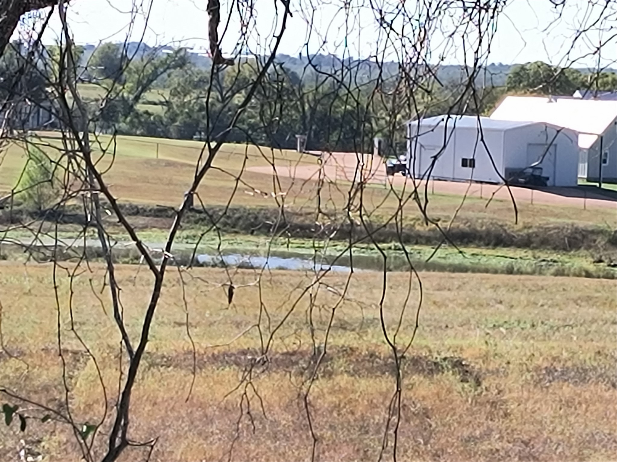 3660 Wonder Hill Road Brenham, TX 77833 - Photo 5 of 5 a view of yard