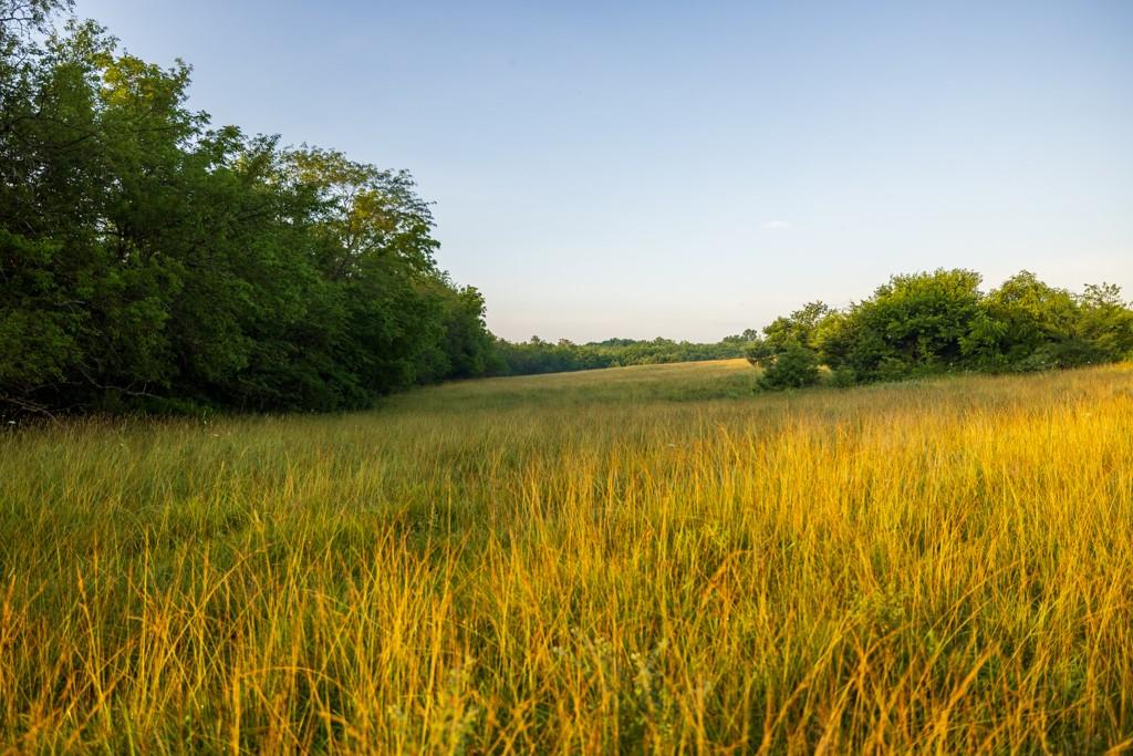0 Southeast Oliver Road Cowgill, MO 64637 - Photo 49 of 56