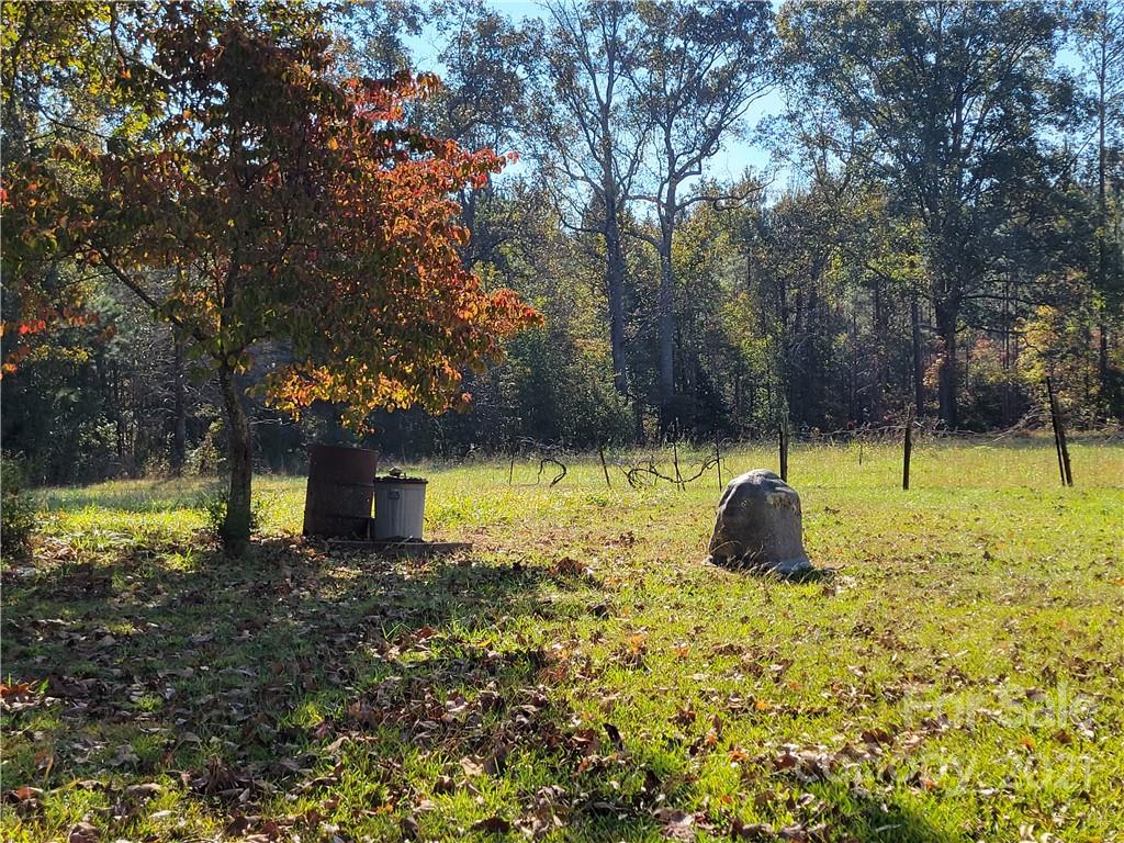 1767 Pekin Road Candor, NC 27229 - Photo 16 of 18 Gallery Image 16