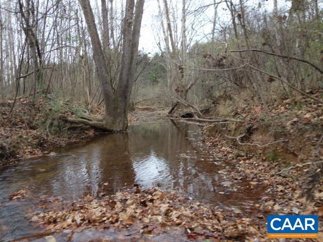 Tbd Selma Road Howardsville, VA 24562 - Photo 11 of 16