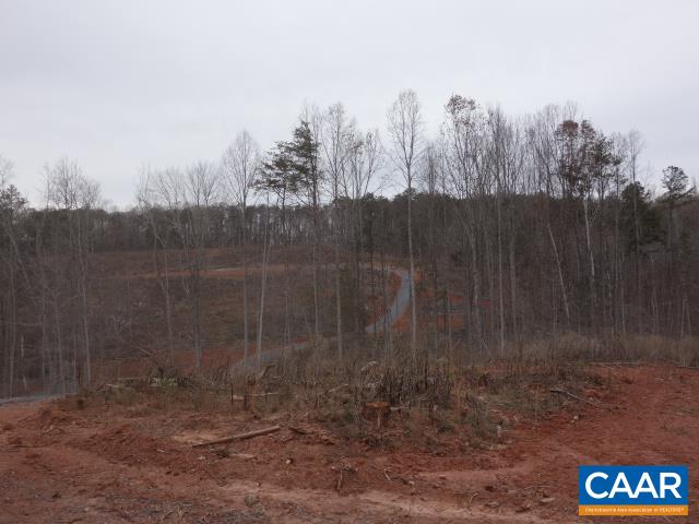 Tbd Selma Road Howardsville, VA 24562 - Photo 5 of 16 a view of a forest