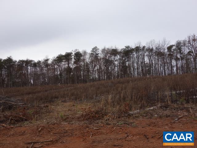Tbd Selma Road Howardsville, VA 24562 - Photo 8 of 16 a view of a yard