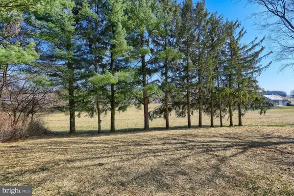 a view of yard with trees