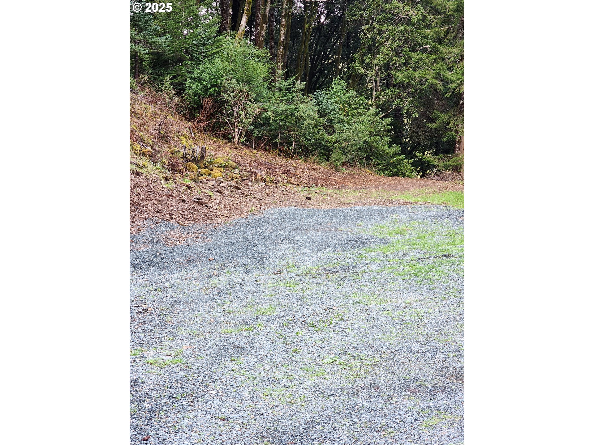 0 Southeast Elk River Road Port Orford, OR 97465 - Photo 9 of 30