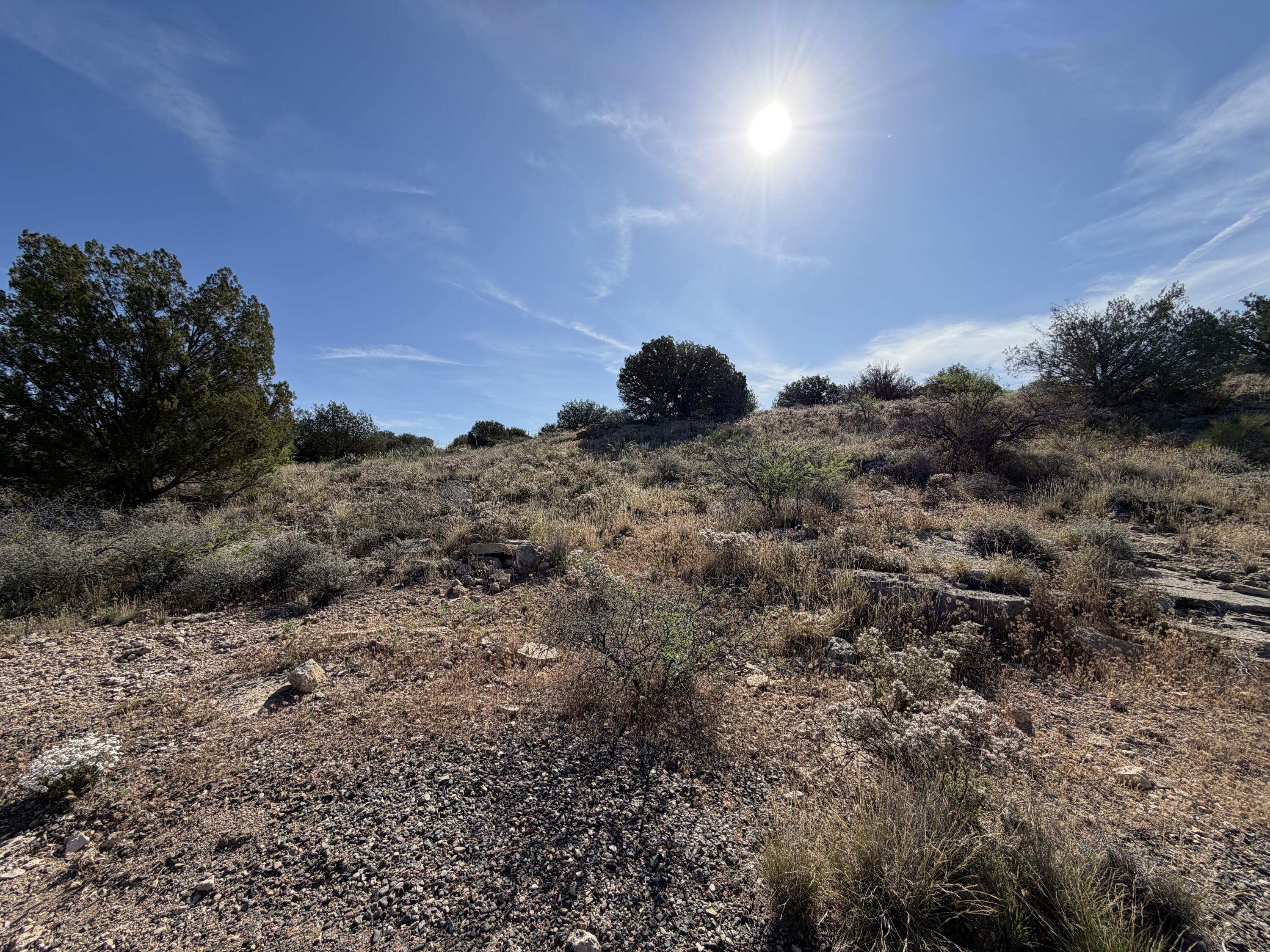 5033 Goss Drive Rimrock, AZ 86335 - Photo 7 of 13