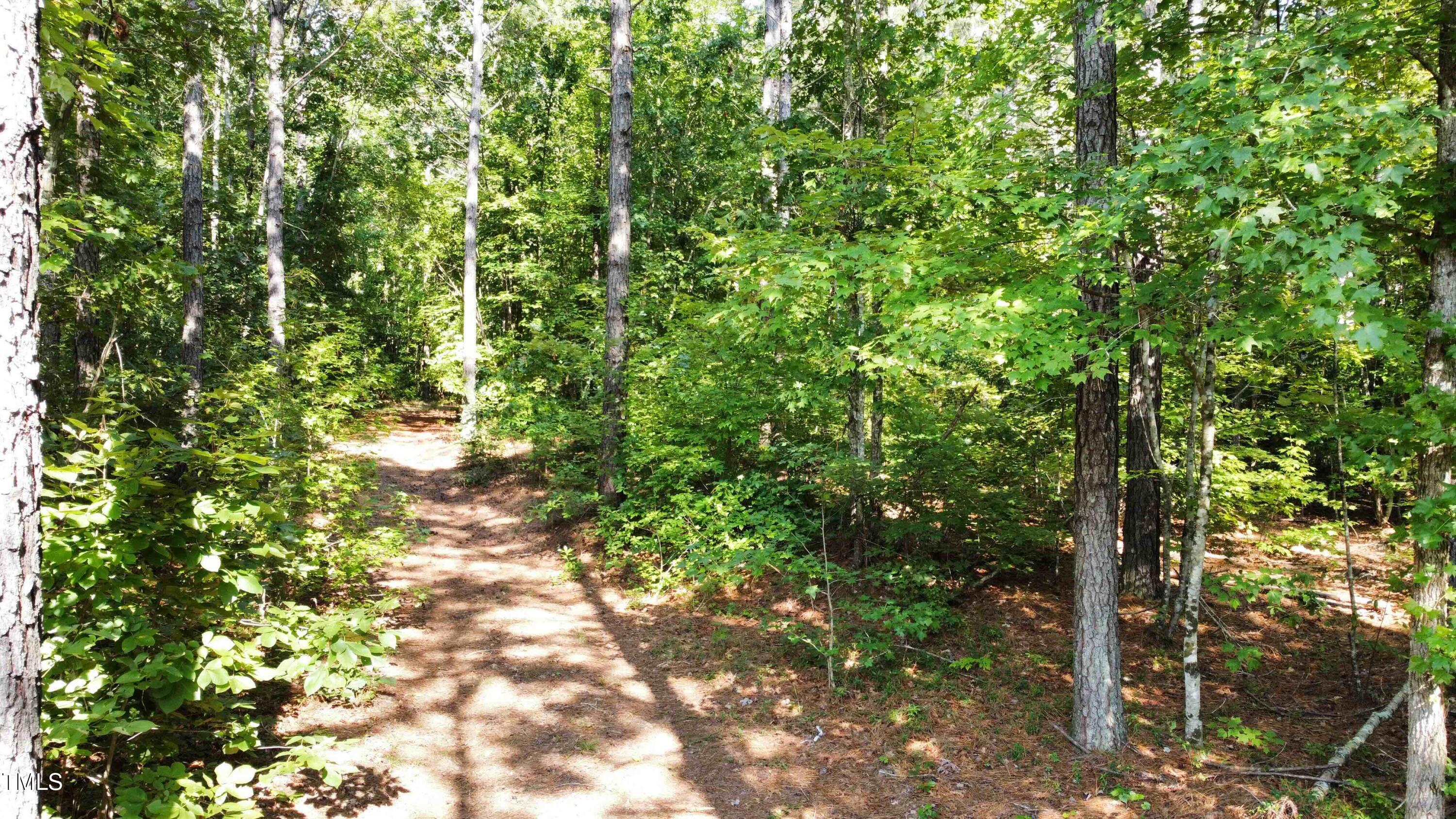 0 Richardson Road Warrenton, NC 27589 - Photo 7 of 21 a view of a tree