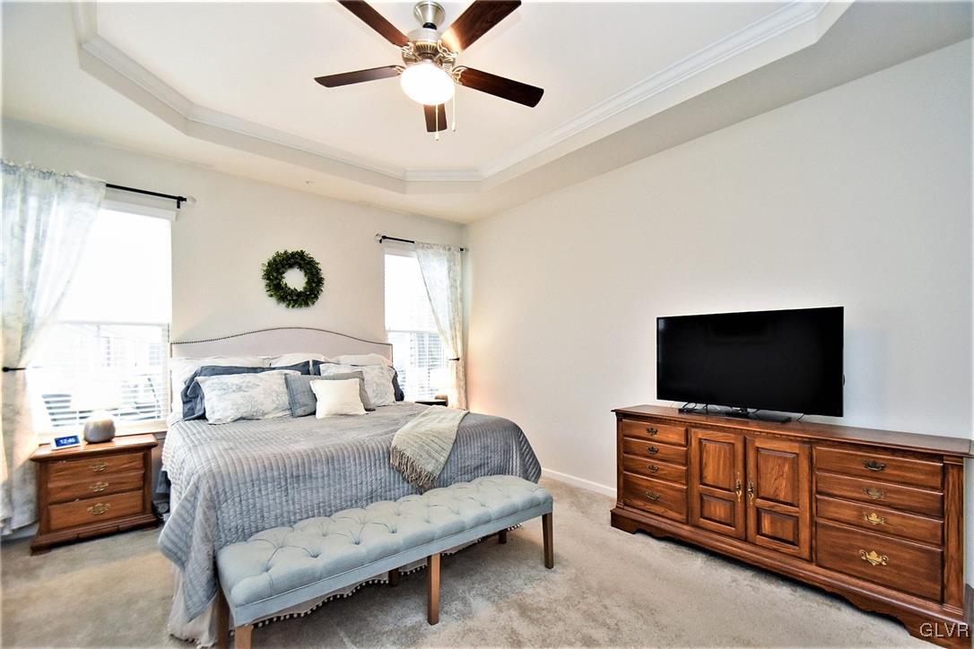 2497 Raya Way Easton, PA 18045 - Photo 14 of 39 First floor master bedroom with try ceiling.