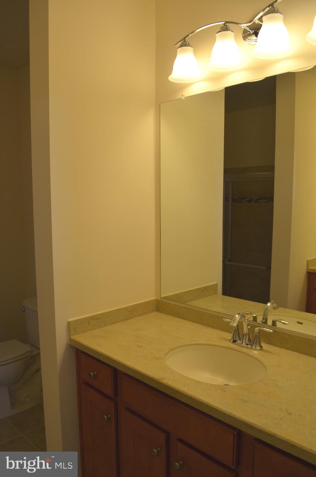 13724 Neil Armstrong Avenue, Unit 307 Herndon, VA 20171 - Photo 13 of 20 Primary Bath