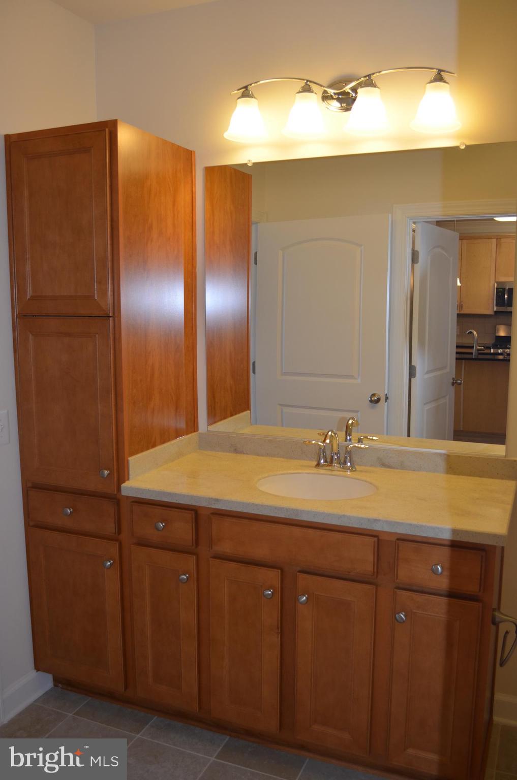 13724 Neil Armstrong Avenue, Unit 307 Herndon, VA 20171 - Photo 17 of 20 2nd Primary Bath