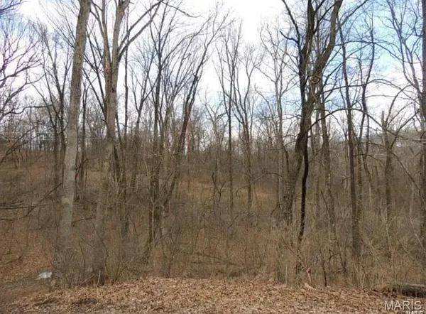 $150,000 | 1001 Chesterfield Forest Drive, Wildwood, MO 63005