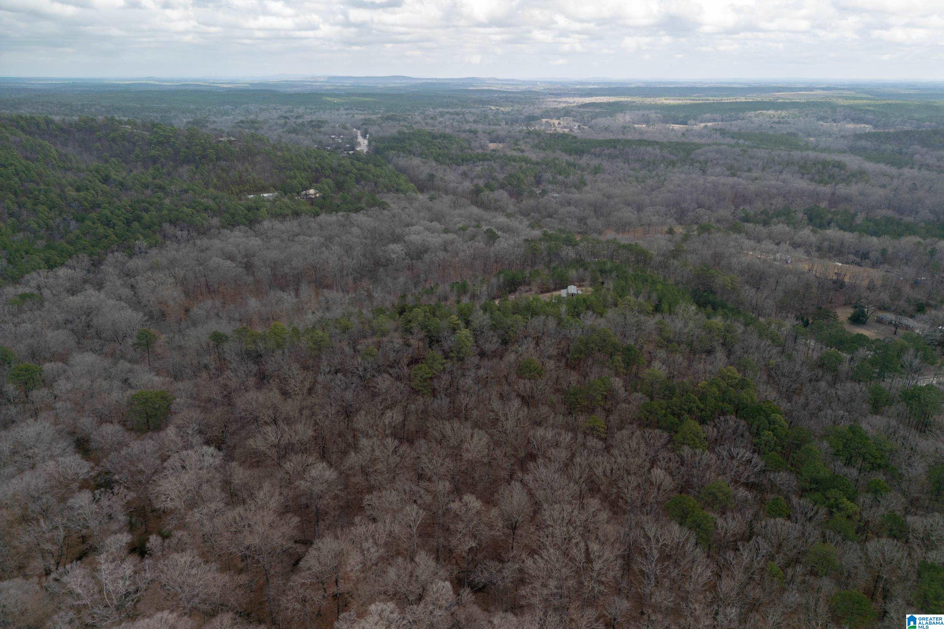 2885 Highway 26 Alabaster Al Alabaster, AL 35007 - Photo 36 of 43