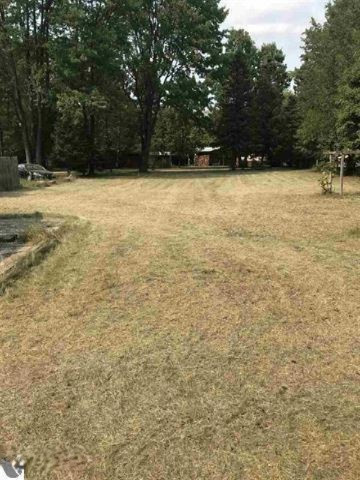 10774 Birch Road Mesick, MI 49668 - Photo 6 of 11 1851391-9